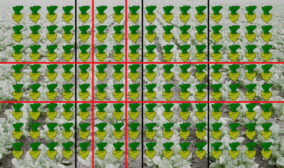 IM_GEOSEED Parallel Pattern_0001.jpg