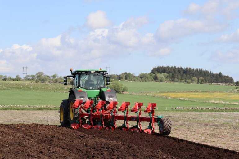 IMG-8032-JPG-h38ym5m6jn