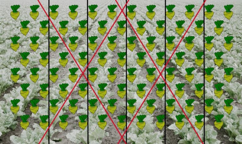 KV-monopill-e-drive-II-004-jpg-jpg-g19b5sg922